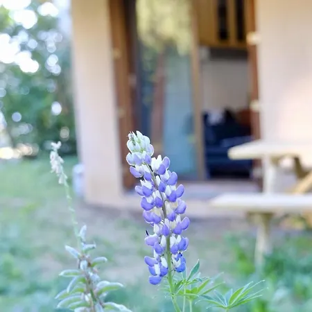 公寓 Joli Avec Jardin *